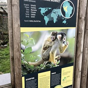 Squirrel Monkey Signage at Peak Wildlife Park (August 2023)