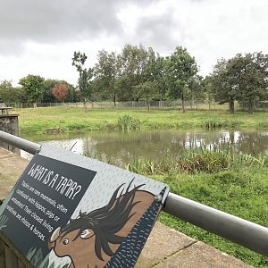 Brazilian Tapir Enclosure at Peak Wildlife Park (August 2023)