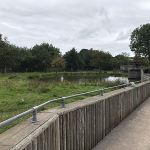 Brazilian Tapir Enclosure at Peak Wildlife Park (August 2023)