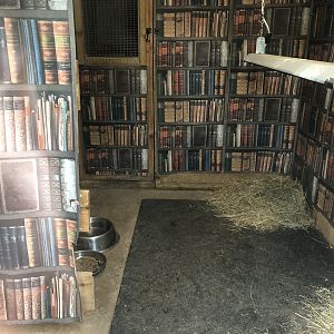 Inside the Dik-Dik House at Peak Wildlife Park (August 2023)