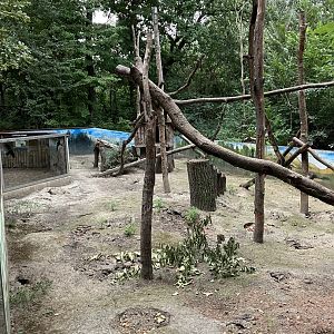 Black-tailed prairie dog/North American porcupine exhibit