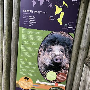 Visayan Warty Pig Signage at Peak Wildlife Park (August 2023)