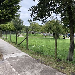 Wallaby Walkthrough Enclosure at Peak Wildlife Park (August 2023)