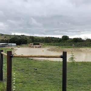 Polar Bear Enclosure at Peak Wildlife Park (August 2023)