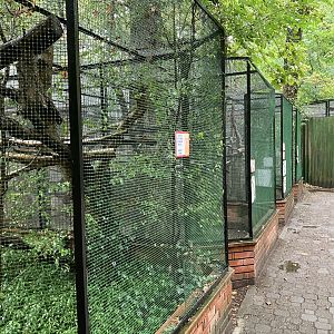 Callitrichinae cages