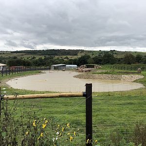 Polar Bear Enclosure at Peak Wildlife Park (August 2023)