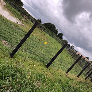 Polar Bear Enclosure Fencing at Peak Wildlife Park (August 2023)