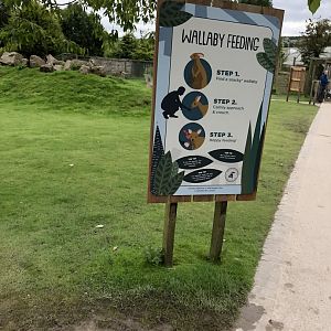 Wallaby Signage at Peak Wildlife Park (August 2023)