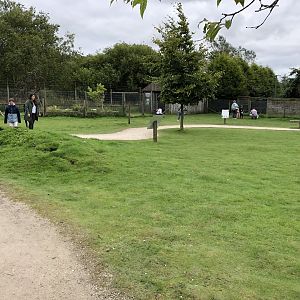 Wallaby Walkthrough Enclosure at Peak Wildlife Park (August 2023)