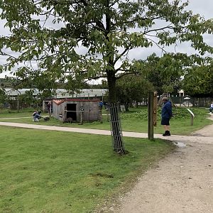 Wallaby Walkthrough Enclosure at Peak Wildlife Park (August 2023)