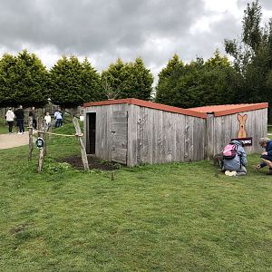 Wallaby Housing at Peak Wildlife Park (August 2023)