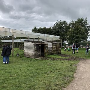 Wallaby Housing at Peak Wildlife Park (August 2023)