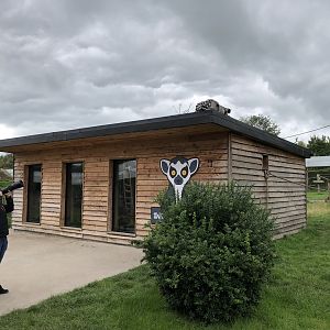 Lemur House at Peak Wildlife Park (August 2023)