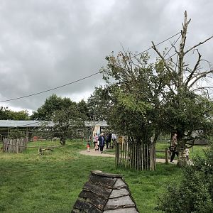 Lemur Walkthrough Enclosure at Peak Wildlife Park (August 2023)