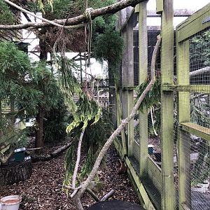 Red Squirrel Enclosure at Peak Wildlife Park (August 2023)