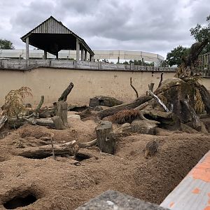 Meerkat Enclosure at Peak Wildlife Park (August 2023)