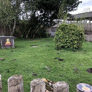 African Spurred Tortoise Enclosure at Peak Wildlife Park (August 2023)