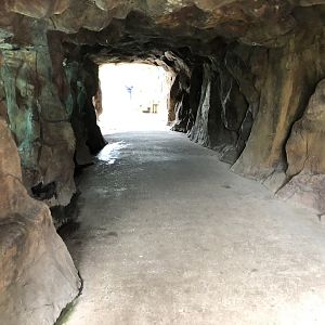 Penguin Underwater Viewing Area at Peak Wildlife Park (August 2023)