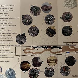 Desert House Map - undated