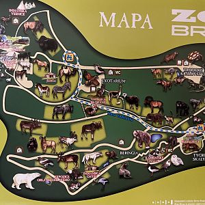 Zoo Map - 2016