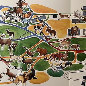 Zoo Map - undated