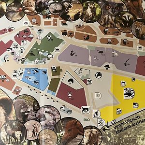 Zoo Map - 2012