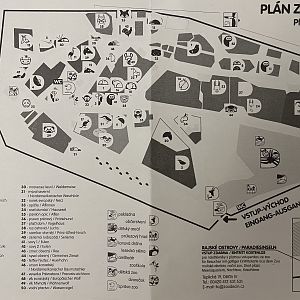 Zoo Map - undated