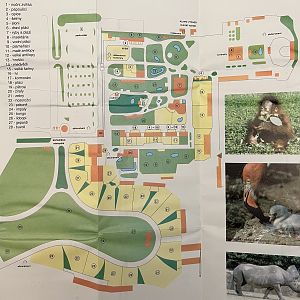 Zoo Map - 1992?