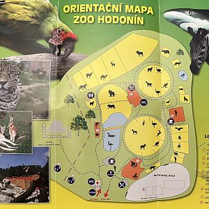 Zoo Map - undated