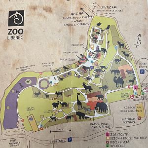 Zoo Map - 2018