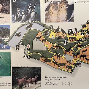 Zoo Map - undated