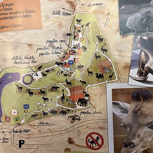 Zoo Map - undated