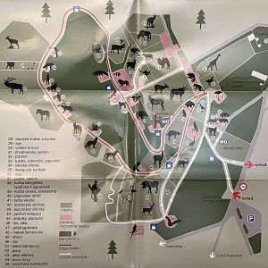 Zoo Map - undated