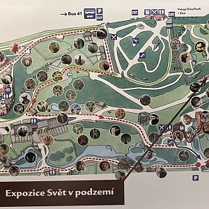 Zoo Map - 2013