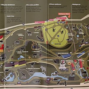 Zoo Map - Winter 2017