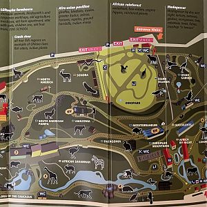 Zoo Map - Spring 2017