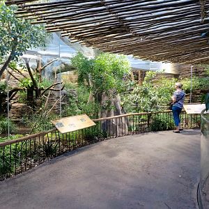 Kola 2 exhibits, Terra Australis