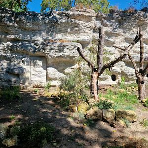 Pottoro exhibit, Terra Australis
