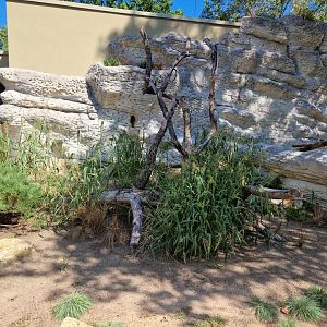 Quokka exhibit, Terra Australis