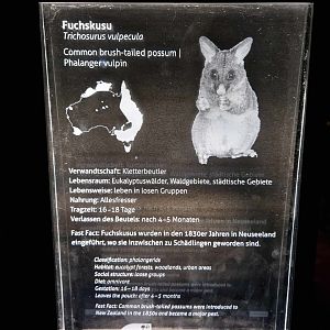 Sign, Terra Australis