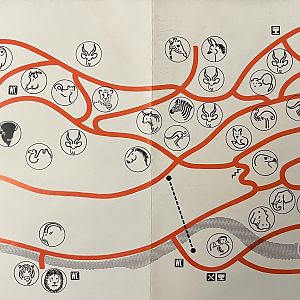 Zoo Map - 1992