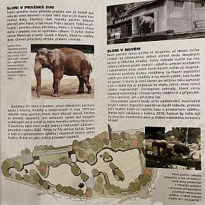 Elephant Exhibit Map - 2010