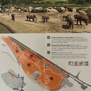 Elephant Exhibit Map - 2014
