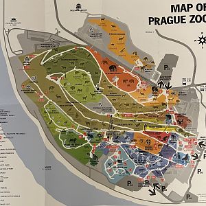 Zoo Map - 2022