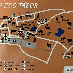 Zoo Map - 2016