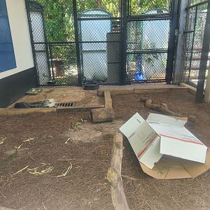 Jungle Island - Cape Porcupine enclosure