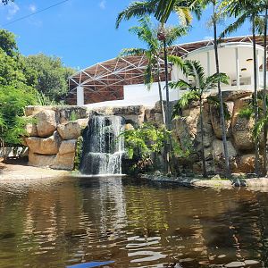Jungle Island - Waterfall view