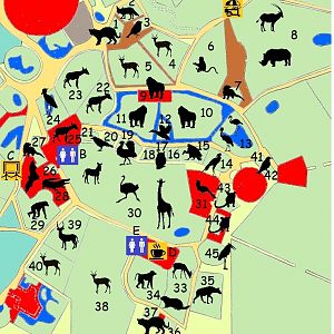 African Zone - 2023 version