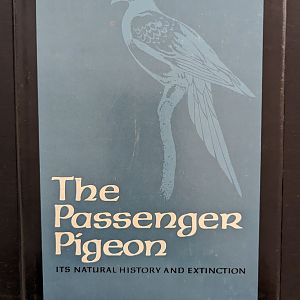 The Passenger Pigeon: It's Natural History and Extinction