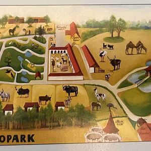 Zoo Map - 2015?
